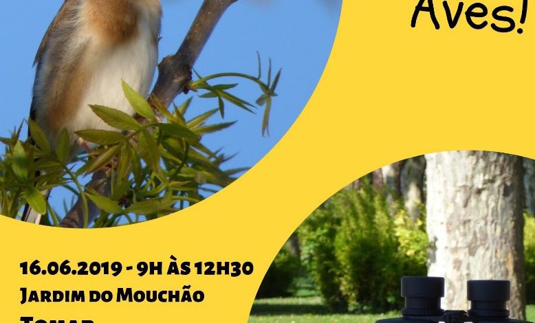 16 6 Aqui ha Aves Jun2019