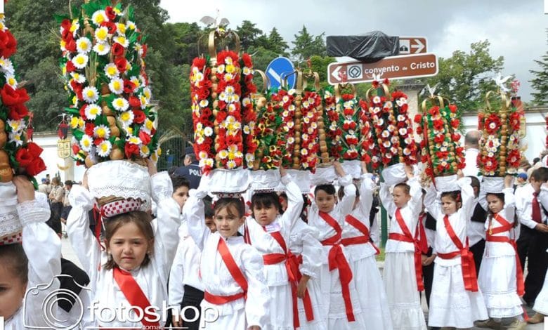 cortejo dos rapazes 2015 fotoshop 700955416163228778 n